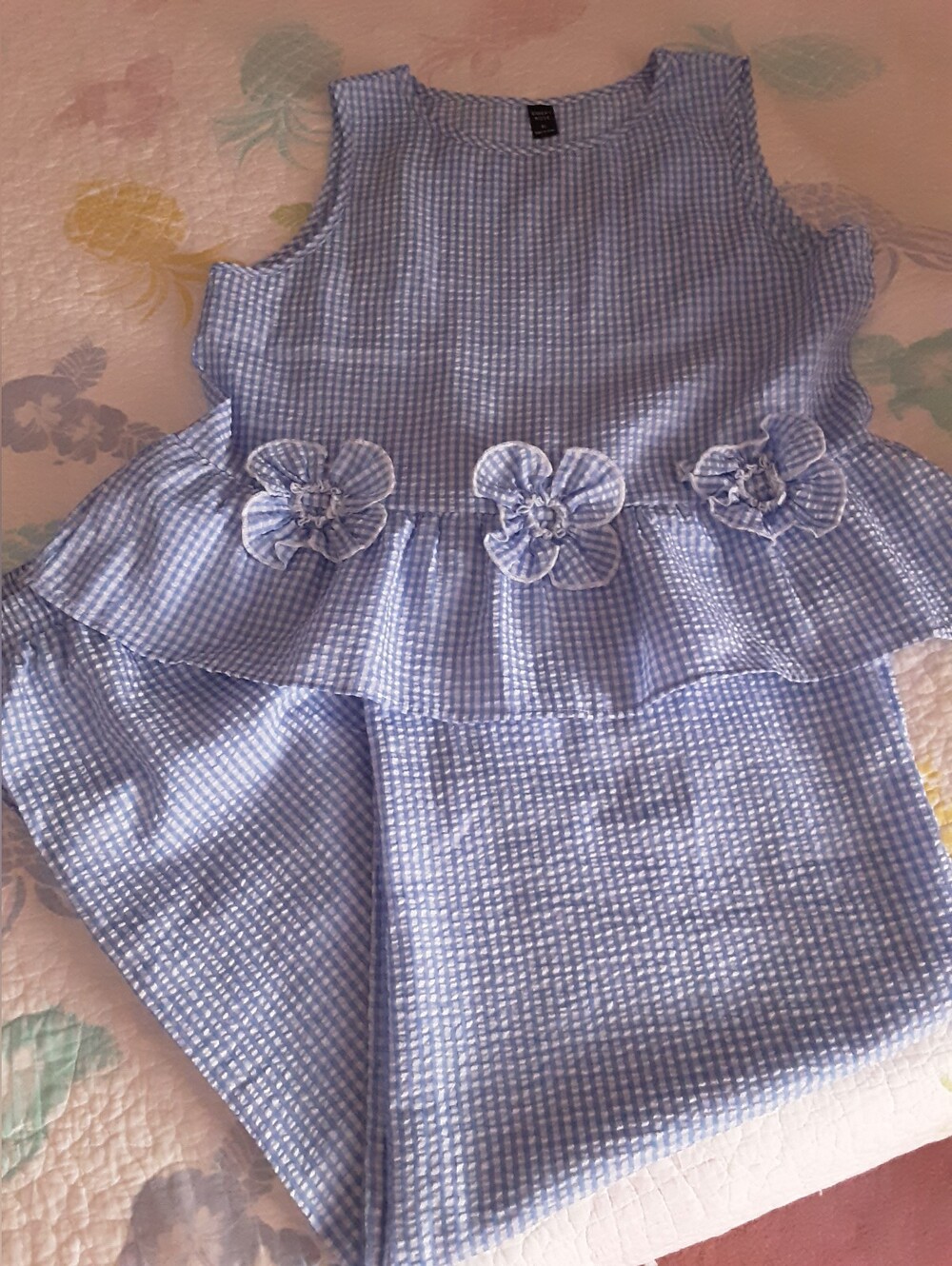 Women's Blue Gingham Top And Pants - XL